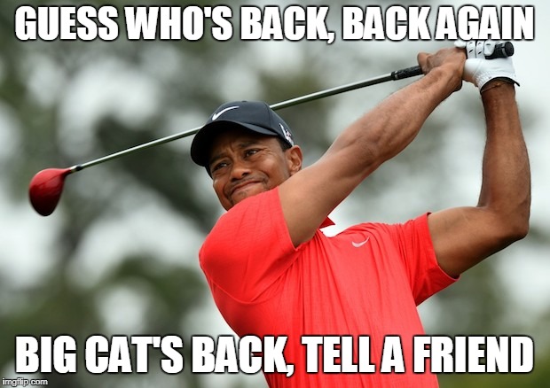 Tiger Woods | GUESS WHO'S BACK, BACK AGAIN; BIG CAT'S BACK, TELL A FRIEND | image tagged in tiger woods | made w/ Imgflip meme maker