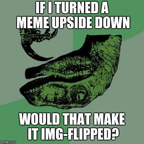 Philosoraptor | IF I TURNED A MEME UPSIDE DOWN; WOULD THAT MAKE IT IMG-FLIPPED? | image tagged in memes,philosoraptor | made w/ Imgflip meme maker