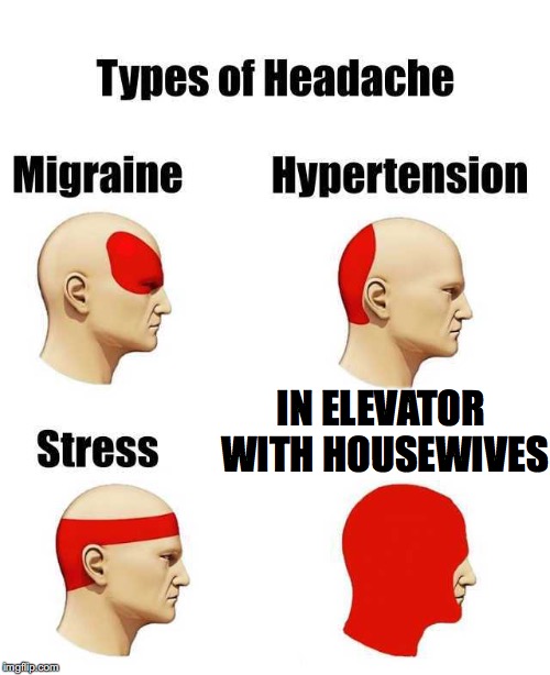 Types of Headache | IN ELEVATOR WITH HOUSEWIVES | image tagged in types of headache | made w/ Imgflip meme maker