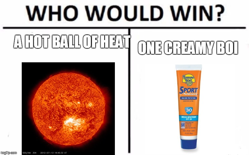 Who Would Win? | A HOT BALL OF HEAT; ONE CREAMY BOI | image tagged in memes,who would win | made w/ Imgflip meme maker
