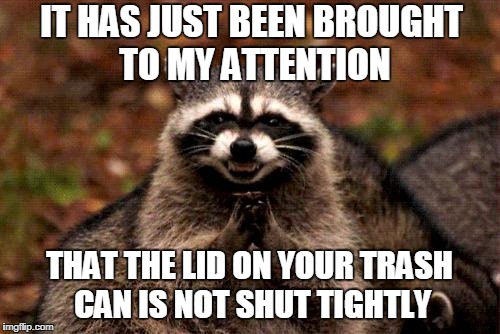 Evil Plotting Raccoon Meme | IT HAS JUST BEEN BROUGHT TO MY ATTENTION; THAT THE LID ON YOUR TRASH CAN IS NOT SHUT TIGHTLY | image tagged in memes,evil plotting raccoon | made w/ Imgflip meme maker