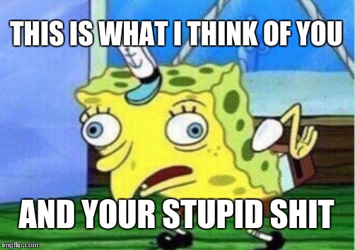 Mocking Spongebob Meme | THIS IS WHAT I THINK OF YOU; AND YOUR STUPID SHIT | image tagged in memes,mocking spongebob | made w/ Imgflip meme maker