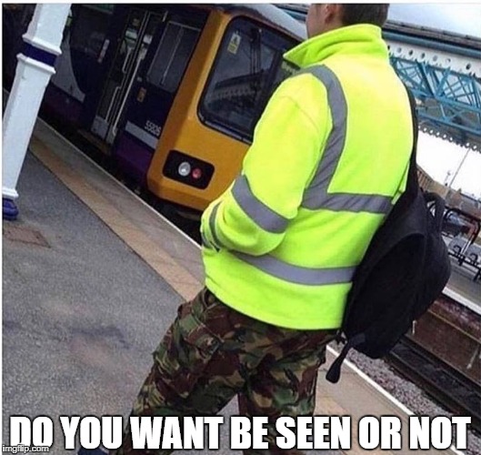 pick something | DO YOU WANT BE SEEN OR NOT | image tagged in memes,funny,ssby | made w/ Imgflip meme maker