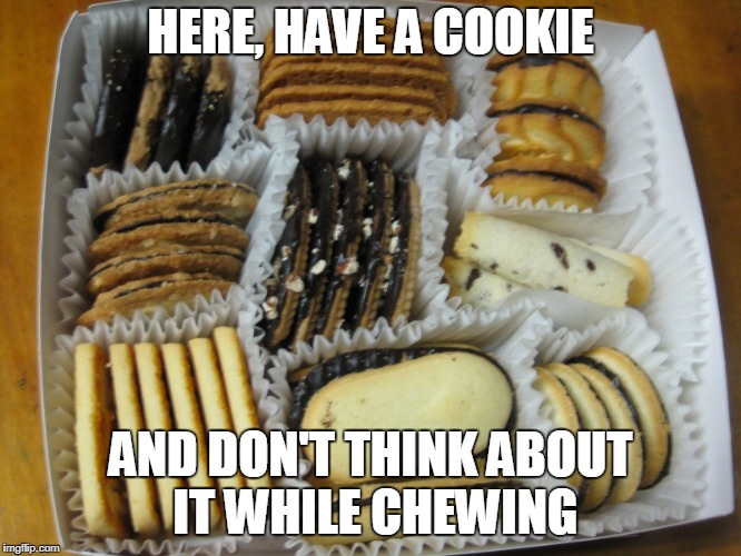 HERE, HAVE A COOKIE AND DON'T THINK ABOUT IT WHILE CHEWING | made w/ Imgflip meme maker