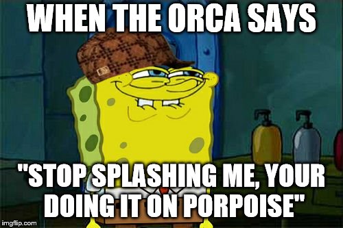 Don't You Squidward | WHEN THE ORCA SAYS; "STOP SPLASHING ME, YOUR DOING IT ON PORPOISE" | image tagged in memes,dont you squidward,scumbag | made w/ Imgflip meme maker