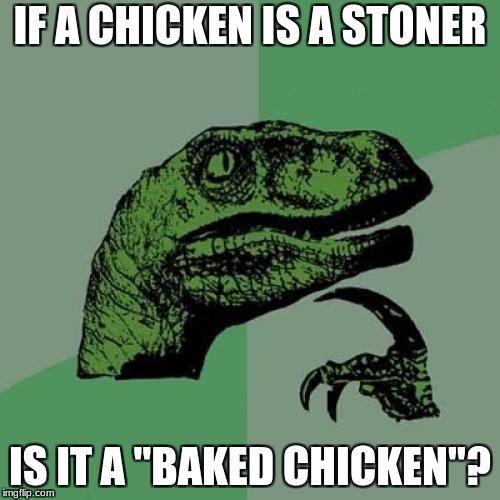 Philosoraptor Meme | IF A CHICKEN IS A STONER; IS IT A "BAKED CHICKEN"? | image tagged in memes,philosoraptor | made w/ Imgflip meme maker