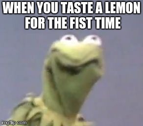 Kermit the frog | WHEN YOU TASTE A LEMON FOR THE FIST TIME | image tagged in kermit the frog | made w/ Imgflip meme maker