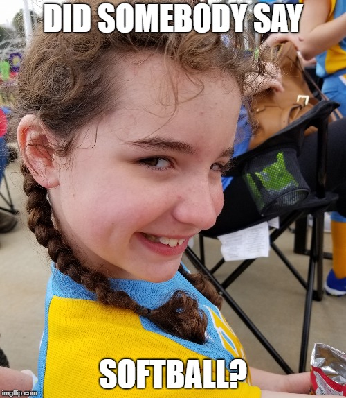 DID SOMEBODY SAY; SOFTBALL? | image tagged in softball | made w/ Imgflip meme maker