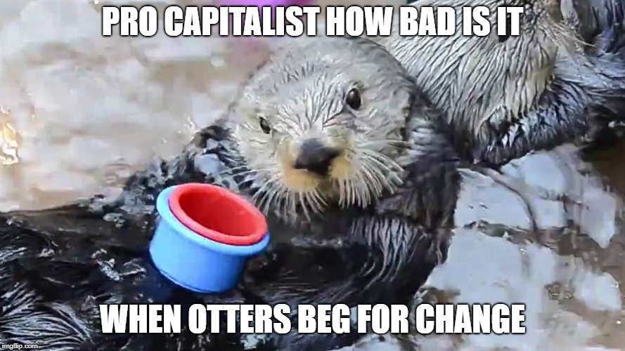 PRO CAPITALIST HOW BAD IS IT; WHEN OTTERS BEG FOR CHANGE | image tagged in capitalist,praying otter | made w/ Imgflip meme maker