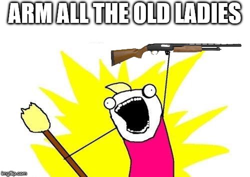 X All The Y Meme | ARM ALL THE OLD LADIES | image tagged in memes,x all the y | made w/ Imgflip meme maker