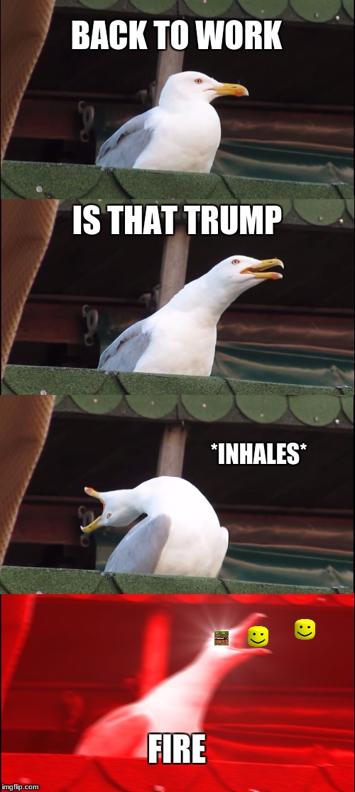 Inhaling Seagull | BACK TO WORK; IS THAT TRUMP; *INHALES*; FIRE | image tagged in memes,inhaling seagull | made w/ Imgflip meme maker