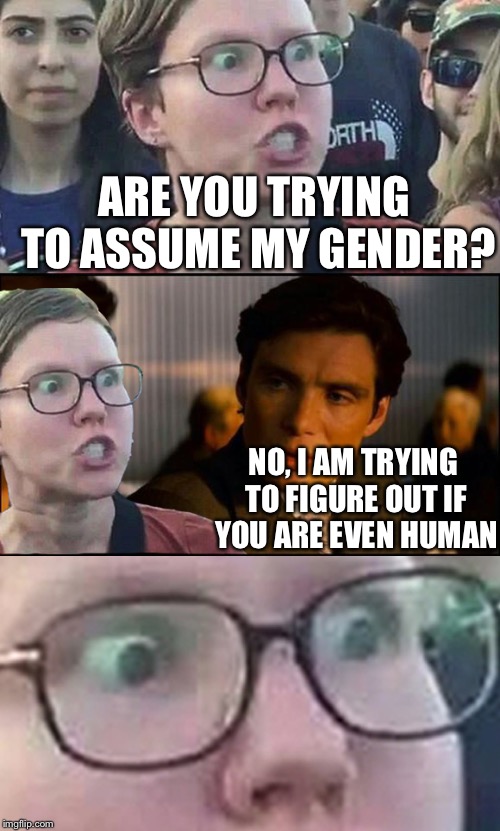 Inception Liberal | ARE YOU TRYING TO ASSUME MY GENDER? NO, I AM TRYING TO FIGURE OUT IF YOU ARE EVEN HUMAN | image tagged in inception liberal,gender identity,libtards,gender confusion,liberals,democrats | made w/ Imgflip meme maker