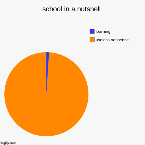 school in a nutshell | useless nonsense, learning | image tagged in funny,pie charts | made w/ Imgflip chart maker