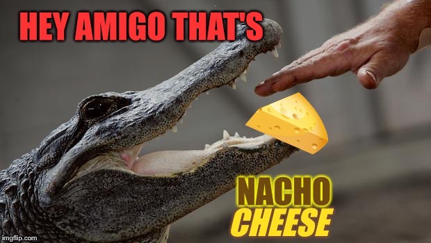Don't Toucha My Emlett! |  I | image tagged in cheese,food fight,alligator,crocodile,funny memes | made w/ Imgflip meme maker