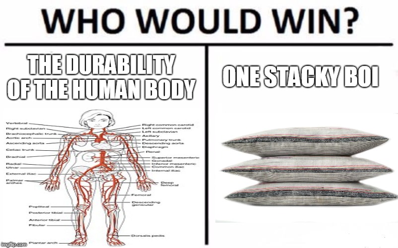 Who Would Win? Meme | ONE STACKY BOI; THE DURABILITY OF THE HUMAN BODY | image tagged in memes,who would win | made w/ Imgflip meme maker