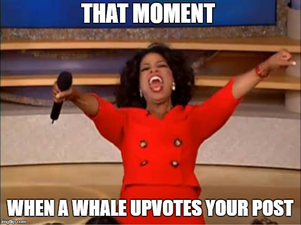 Oprah You Get A Meme | THAT MOMENT; WHEN A WHALE UPVOTES YOUR POST | image tagged in memes,oprah you get a | made w/ Imgflip meme maker