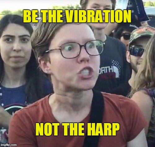 The Harp | BE THE VIBRATION; NOT THE HARP | image tagged in triggered feminist,hate,feminist rage,equality,memes,screaming | made w/ Imgflip meme maker