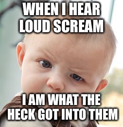 Skeptical Baby | WHEN I HEAR LOUD SCREAM; I AM WHAT THE HECK GOT INTO THEM | image tagged in memes,skeptical baby | made w/ Imgflip meme maker