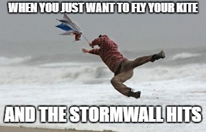 WHEN YOU JUST WANT TO FLY YOUR KITE AND THE STORMWALL HITS | made w/ Imgflip meme maker