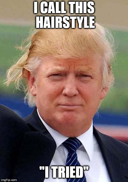 Trump Bad hair Day | I CALL THIS HAIRSTYLE; "I TRIED" | image tagged in trump bad hair day | made w/ Imgflip meme maker