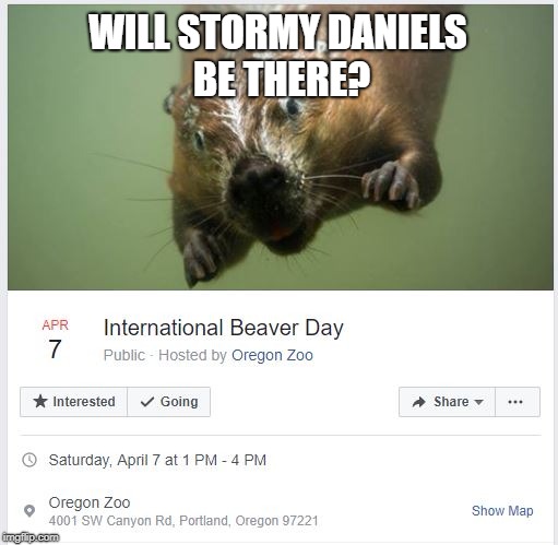 511px x 499px - International Beaver Day - Imgflip