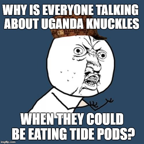 Y U No Meme | WHY IS EVERYONE TALKING ABOUT UGANDA KNUCKLES; WHEN THEY COULD BE EATING TIDE PODS? | image tagged in memes,y u no,scumbag | made w/ Imgflip meme maker