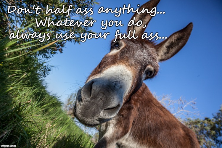 Whatever you do... | Don't half ass anything...  Whatever you do, always use your full ass... | image tagged in don't,half ass,always,full ass | made w/ Imgflip meme maker