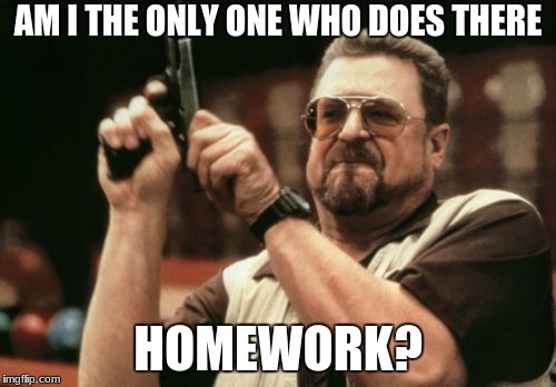 Am I The Only One Around Here | AM I THE ONLY ONE WHO DOES THERE; HOMEWORK? | image tagged in memes,am i the only one around here | made w/ Imgflip meme maker