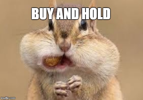 BUY AND HOLD | made w/ Imgflip meme maker