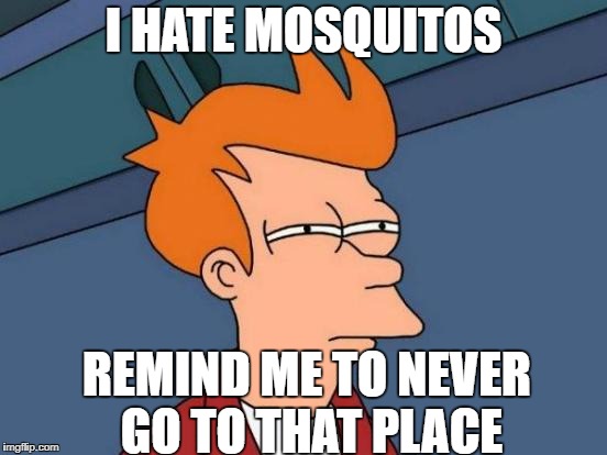 Futurama Fry Meme | I HATE MOSQUITOS REMIND ME TO NEVER GO TO THAT PLACE | image tagged in memes,futurama fry | made w/ Imgflip meme maker