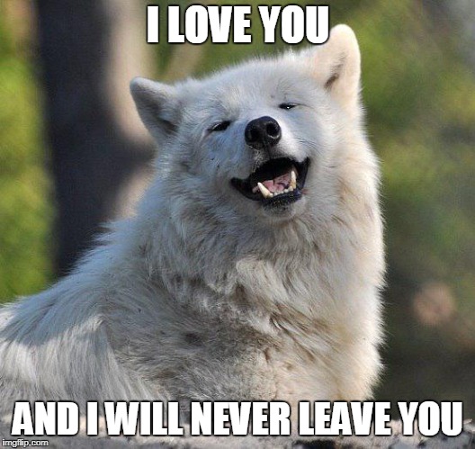 I LOVE YOU AND I WILL NEVER LEAVE YOU | image tagged in supersecretwolf | made w/ Imgflip meme maker