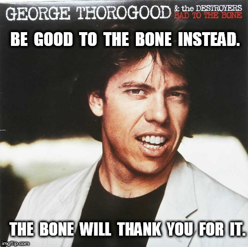 Bad to the bone |  BE  GOOD  TO  THE  BONE  INSTEAD. THE  BONE  WILL  THANK  YOU  FOR  IT. | image tagged in george thorogood,bad to the bone,boner,bone | made w/ Imgflip meme maker