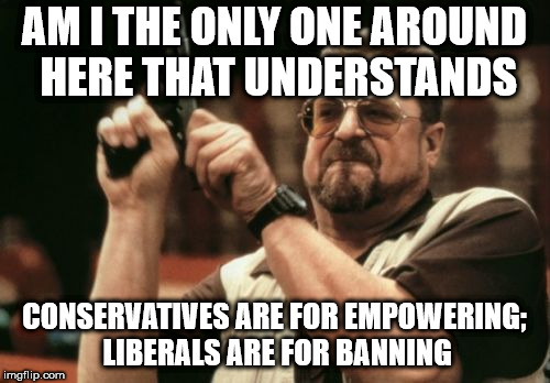 Am I The Only One Around Here Meme | AM I THE ONLY ONE AROUND HERE THAT UNDERSTANDS; CONSERVATIVES ARE FOR EMPOWERING; LIBERALS ARE FOR BANNING | image tagged in memes,am i the only one around here | made w/ Imgflip meme maker