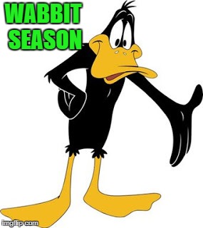daffy | WABBIT SEASON | image tagged in daffy | made w/ Imgflip meme maker