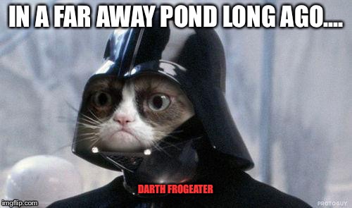 DARTH FROGEATER | made w/ Imgflip meme maker