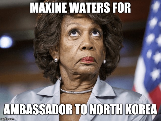 Maxine for ambassador | MAXINE WATERS FOR; AMBASSADOR TO NORTH KOREA | image tagged in maxine waters | made w/ Imgflip meme maker