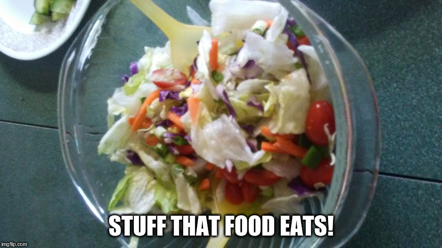 STUFF THAT FOOD EATS! | image tagged in dieting | made w/ Imgflip meme maker