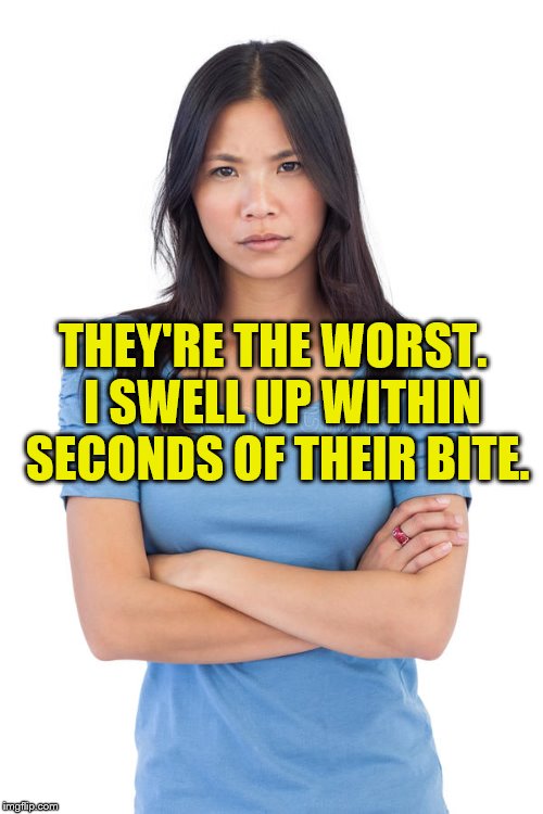 THEY'RE THE WORST.  I SWELL UP WITHIN SECONDS OF THEIR BITE. | made w/ Imgflip meme maker