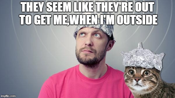 THEY SEEM LIKE THEY'RE OUT TO GET ME,WHEN I'M OUTSIDE | made w/ Imgflip meme maker