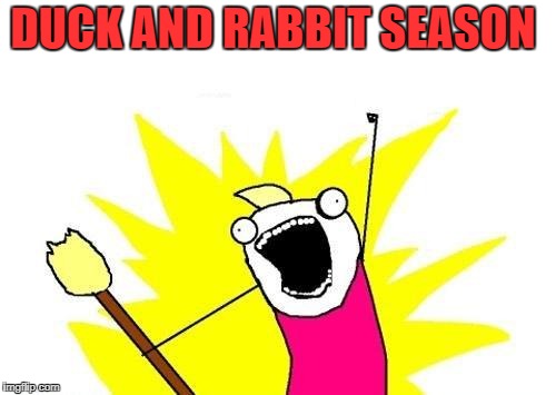 X All The Y Meme | DUCK AND RABBIT SEASON | image tagged in memes,x all the y | made w/ Imgflip meme maker