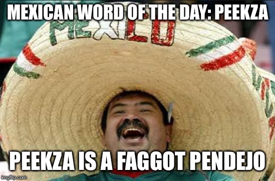 mexican word of the day | MEXICAN WORD OF THE DAY:
PEEKZA; PEEKZA IS A FAGGOT PENDEJO | image tagged in mexican word of the day | made w/ Imgflip meme maker