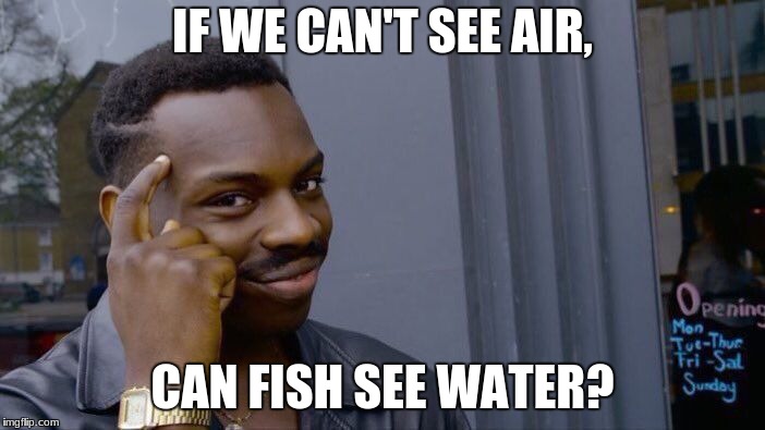 Roll Safe Think About It Meme | IF WE CAN'T SEE AIR, CAN FISH SEE WATER? | image tagged in memes,roll safe think about it | made w/ Imgflip meme maker
