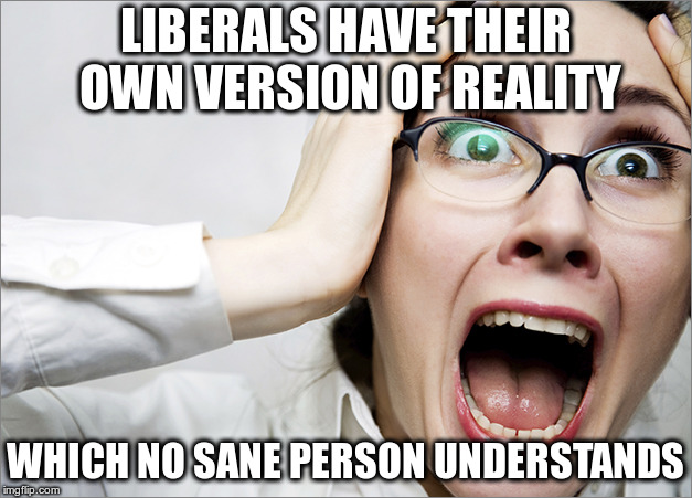 Horrified Liberal | LIBERALS HAVE THEIR OWN VERSION OF REALITY; WHICH NO SANE PERSON UNDERSTANDS | image tagged in horrified liberal | made w/ Imgflip meme maker