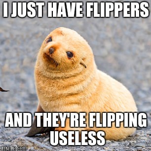 image tagged in memes,funny memes,funny animals,funny seals,cute | made w/ Imgflip meme maker