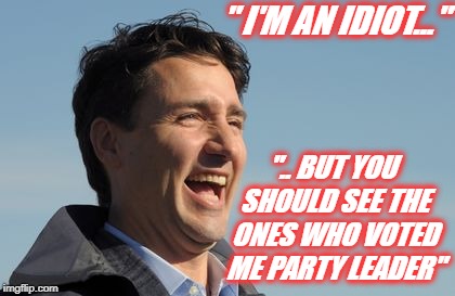 I'm an Idiot |  " I'M AN IDIOT..."; ".. BUT YOU SHOULD SEE THE ONES WHO VOTED ME PARTY LEADER" | image tagged in justin trudeau,idiot,trudeau | made w/ Imgflip meme maker