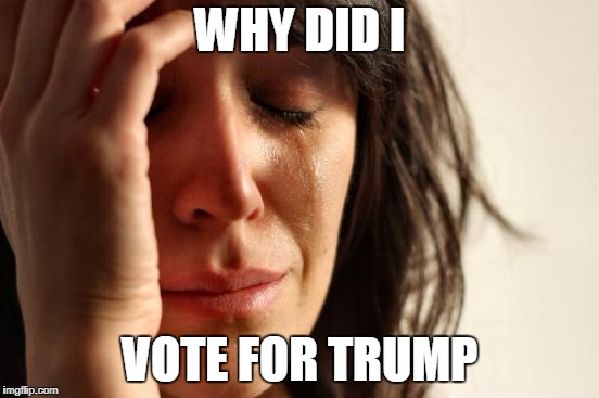 First World Problems Meme | WHY DID I; VOTE FOR TRUMP | image tagged in memes,first world problems | made w/ Imgflip meme maker