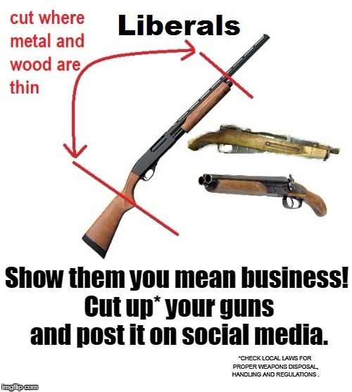 Cut your guns | image tagged in gun protest,gun rights | made w/ Imgflip meme maker