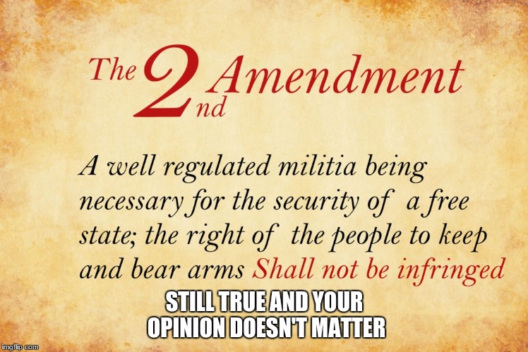 2nd amendment  | STILL TRUE AND YOUR OPINION DOESN'T MATTER | image tagged in 2nd amendment | made w/ Imgflip meme maker