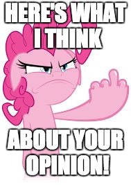 Flip the pony! | HERE'S WHAT I THINK; ABOUT YOUR OPINION! | image tagged in middle finger pony,memes,middle finger,pony | made w/ Imgflip meme maker