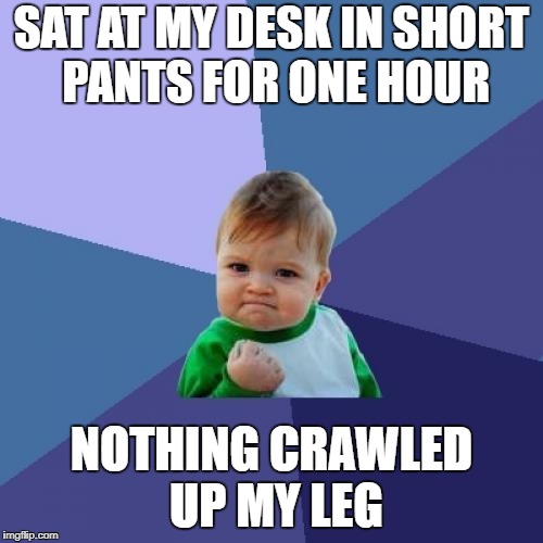 Success Kid Meme | SAT AT MY DESK IN SHORT PANTS FOR ONE HOUR; NOTHING CRAWLED UP MY LEG | image tagged in memes,success kid | made w/ Imgflip meme maker